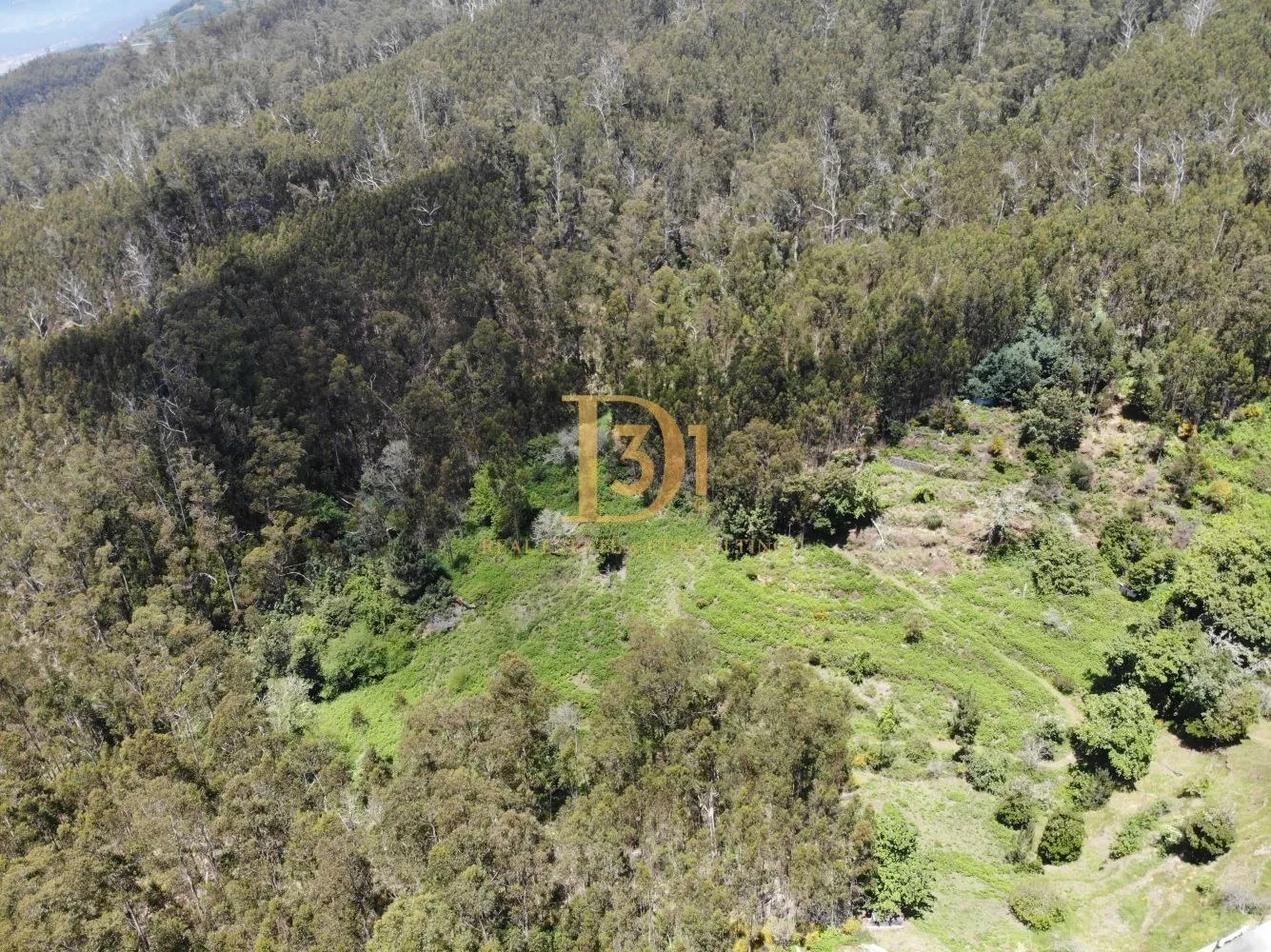 Terreno - Funchal - Monte - Imóvel D31 em Portugal