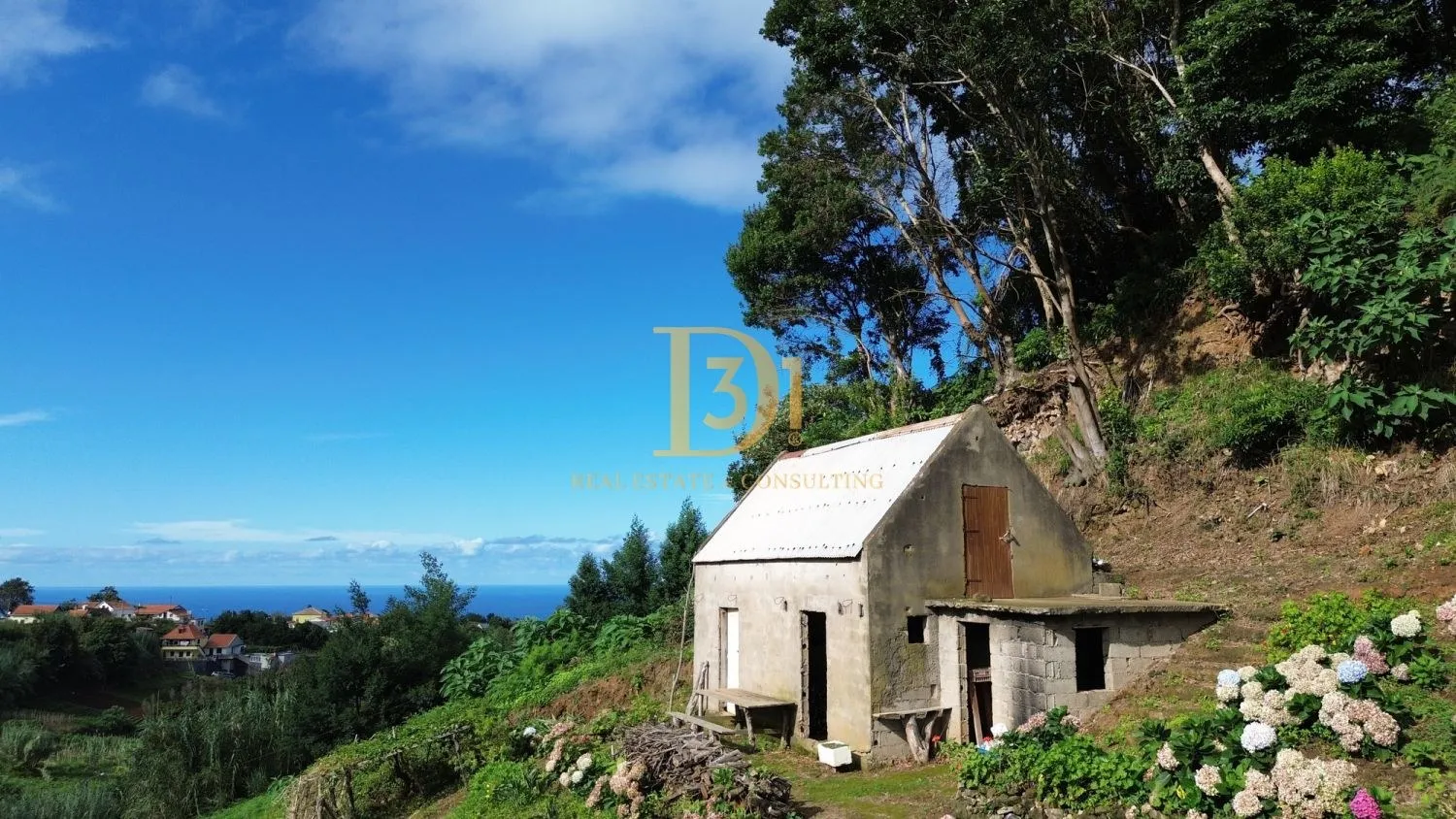Terreno - Santana - 5410 m2 - Imóvel D31 em Portugal